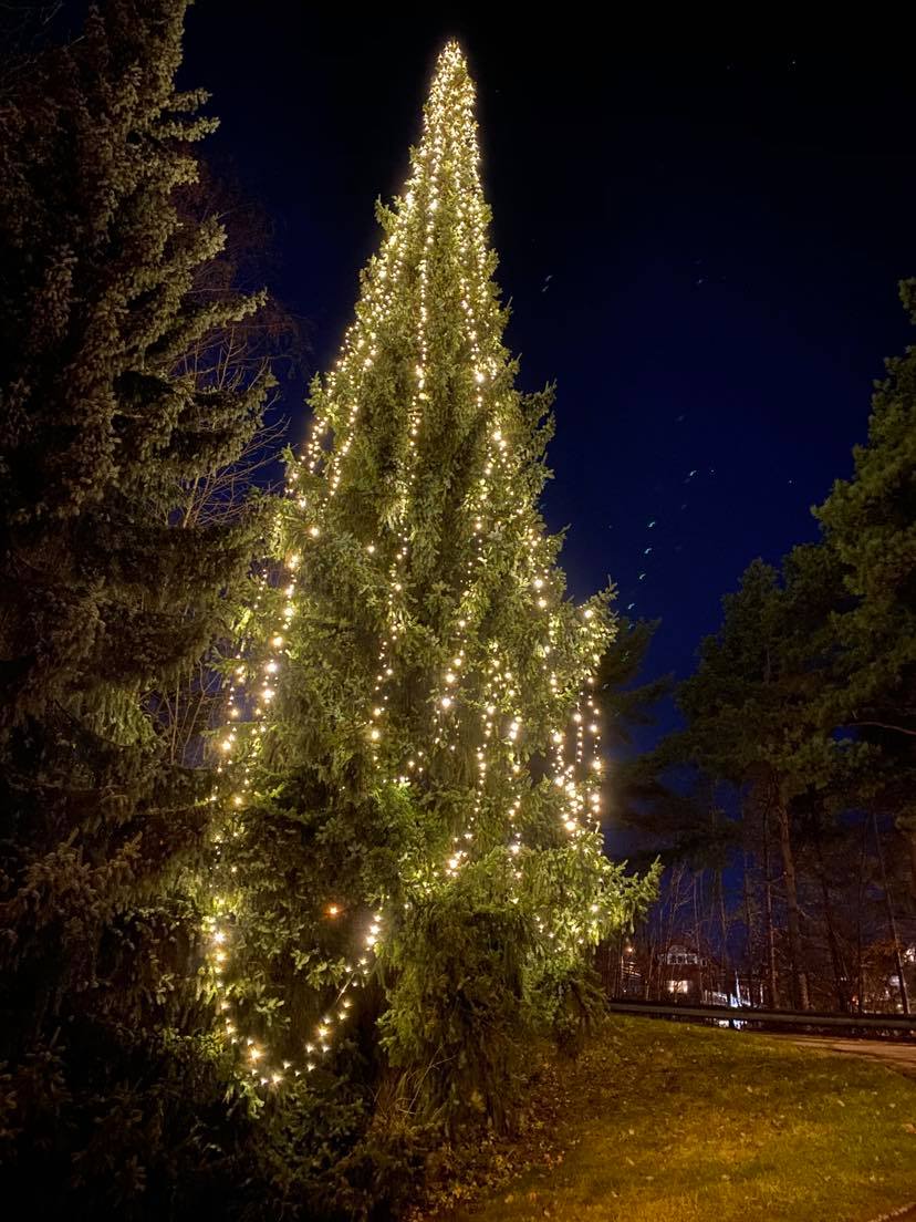 Artikkelbilde til artikkelen Juletrefesten Høvik 29. november 2025 ved kirken