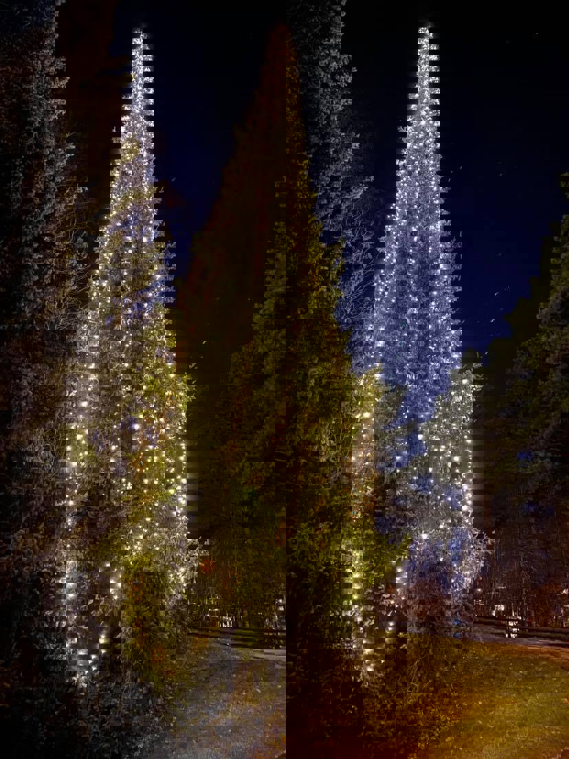 Juletrefesten Høvik 29. november 2025 ved kirken